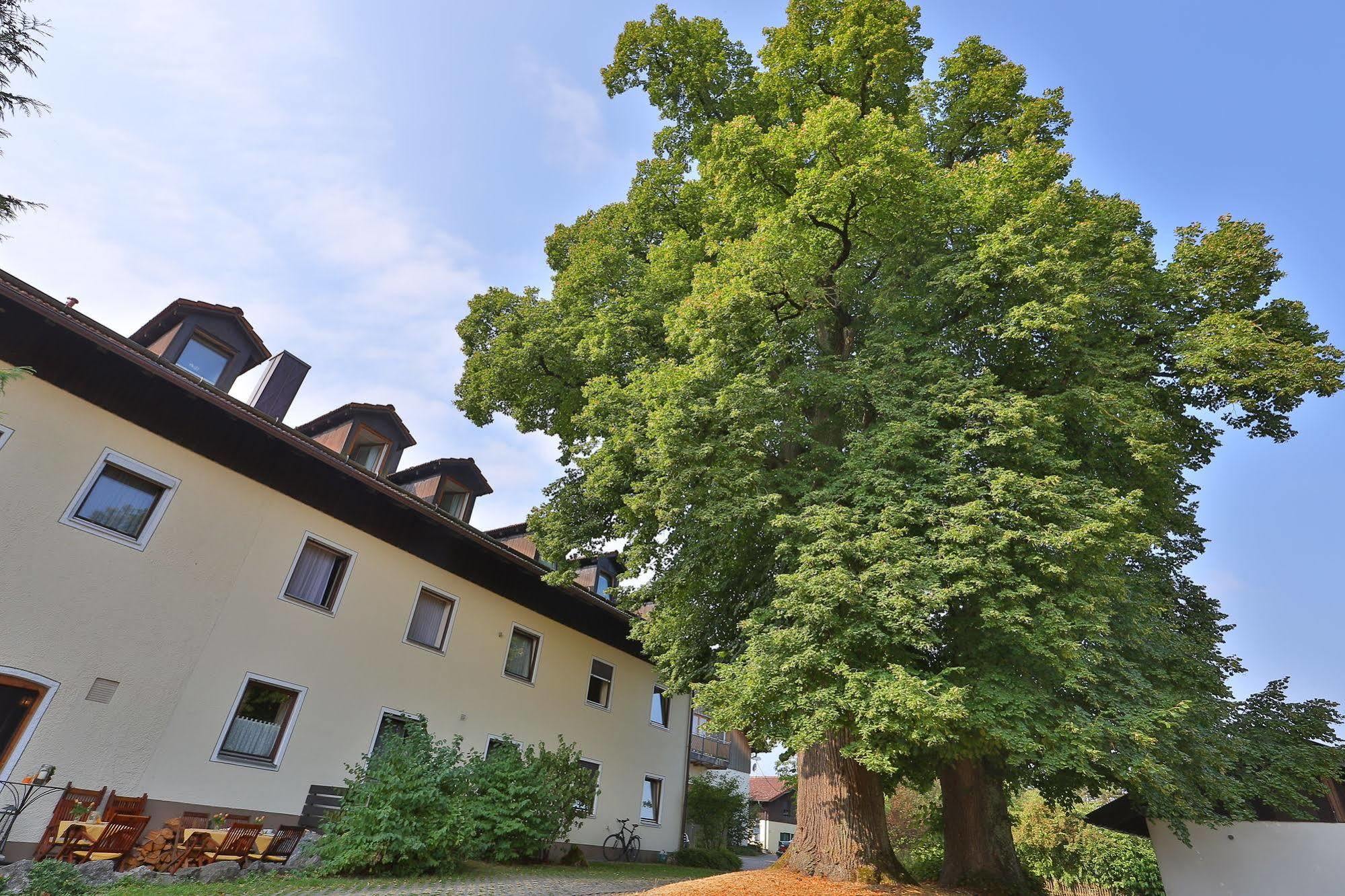 Hotel Bockmaier Oberpframmern Екстериор снимка